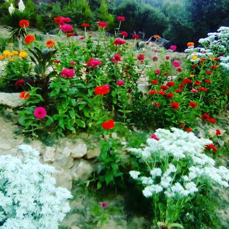 Banjol Villa Mora מראה חיצוני תמונה